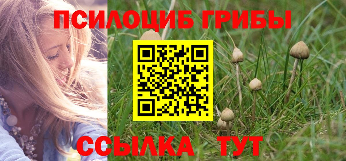 Псилоцибиновые грибы Cubensis  Вход с VPN  Шахты 